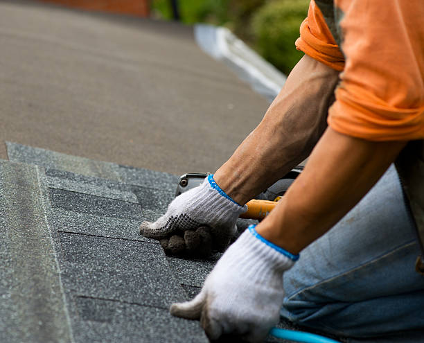 Best Metal Roofing Contractor  in White Hall, IL